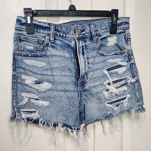 American Eagle Distressed Highrise Denim Women Shorts